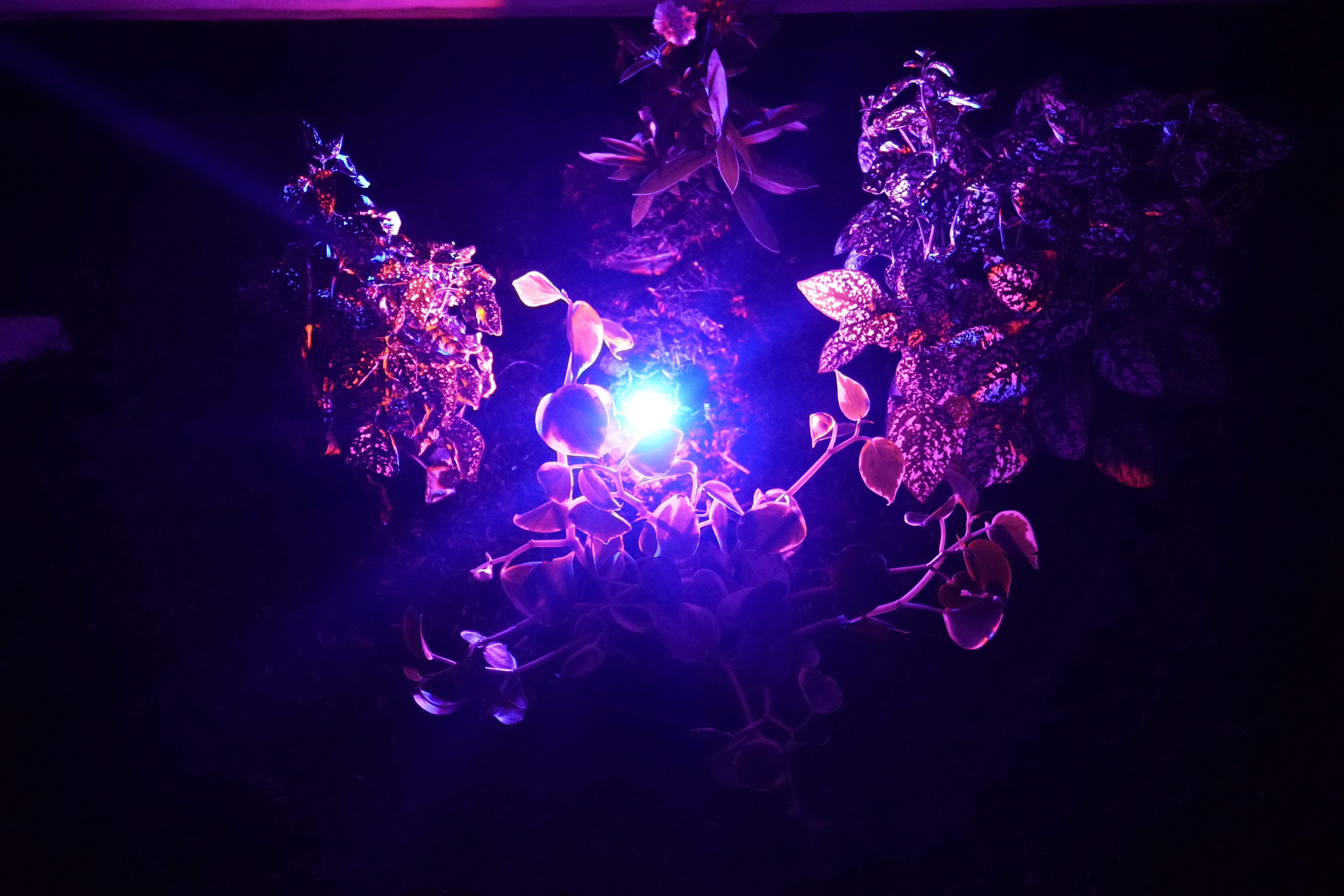 Hidden Agencies Detail