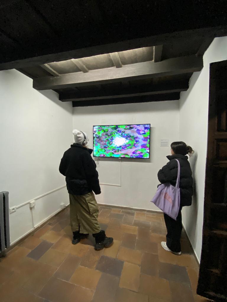 Planta aspidistra conectada a sensores para performance de bio-sonificación