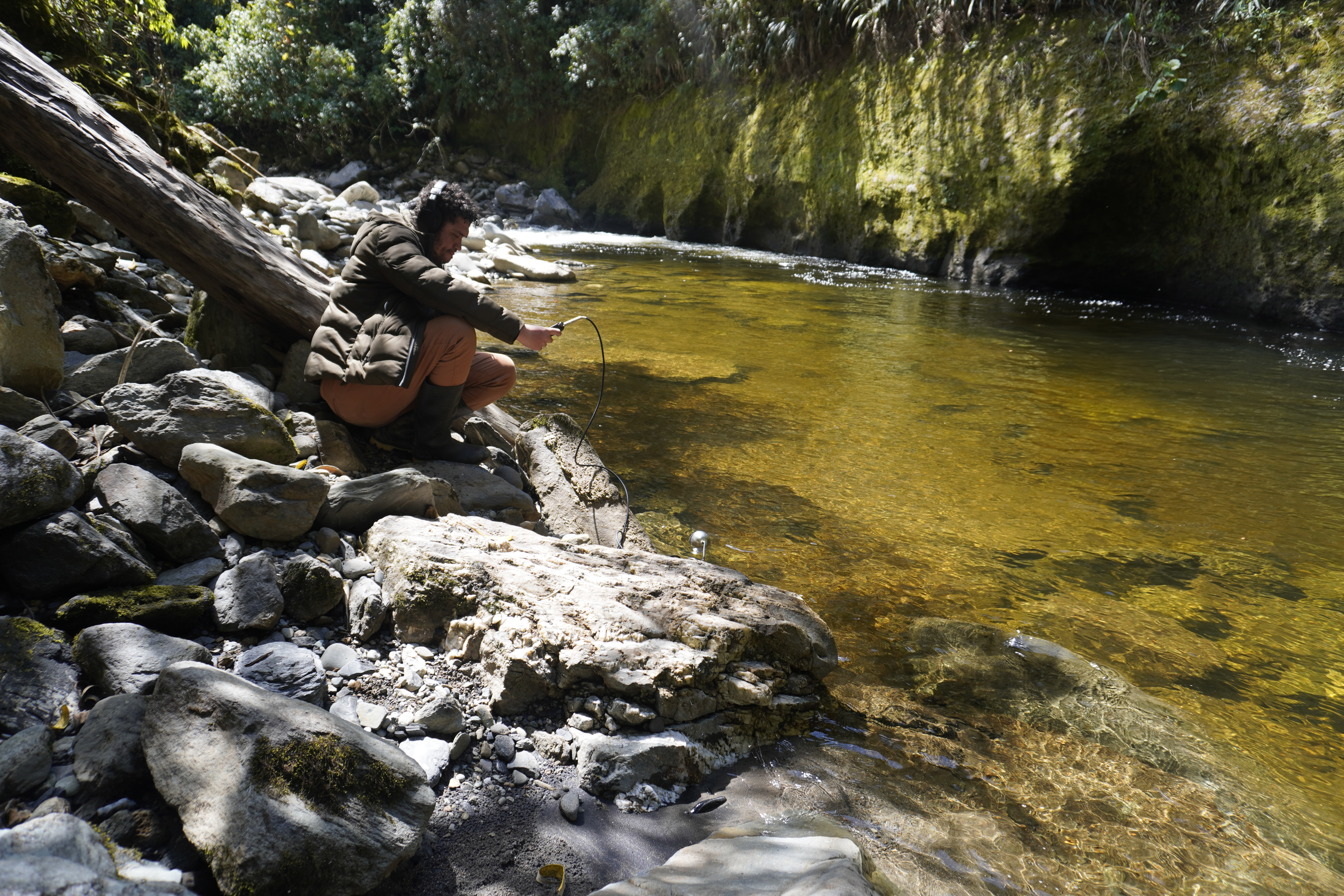 Other Listenings Setup