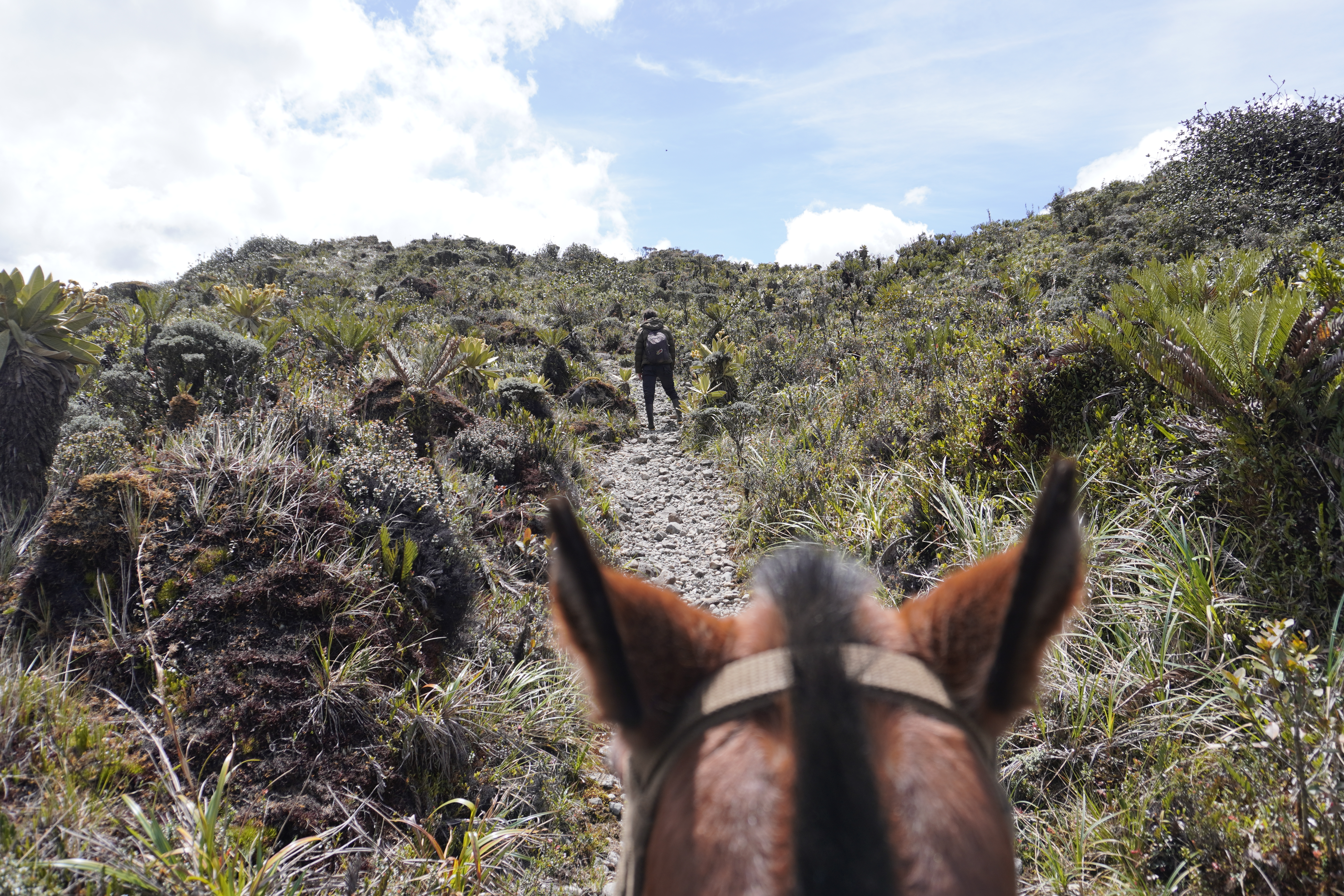 Other Listenings Close