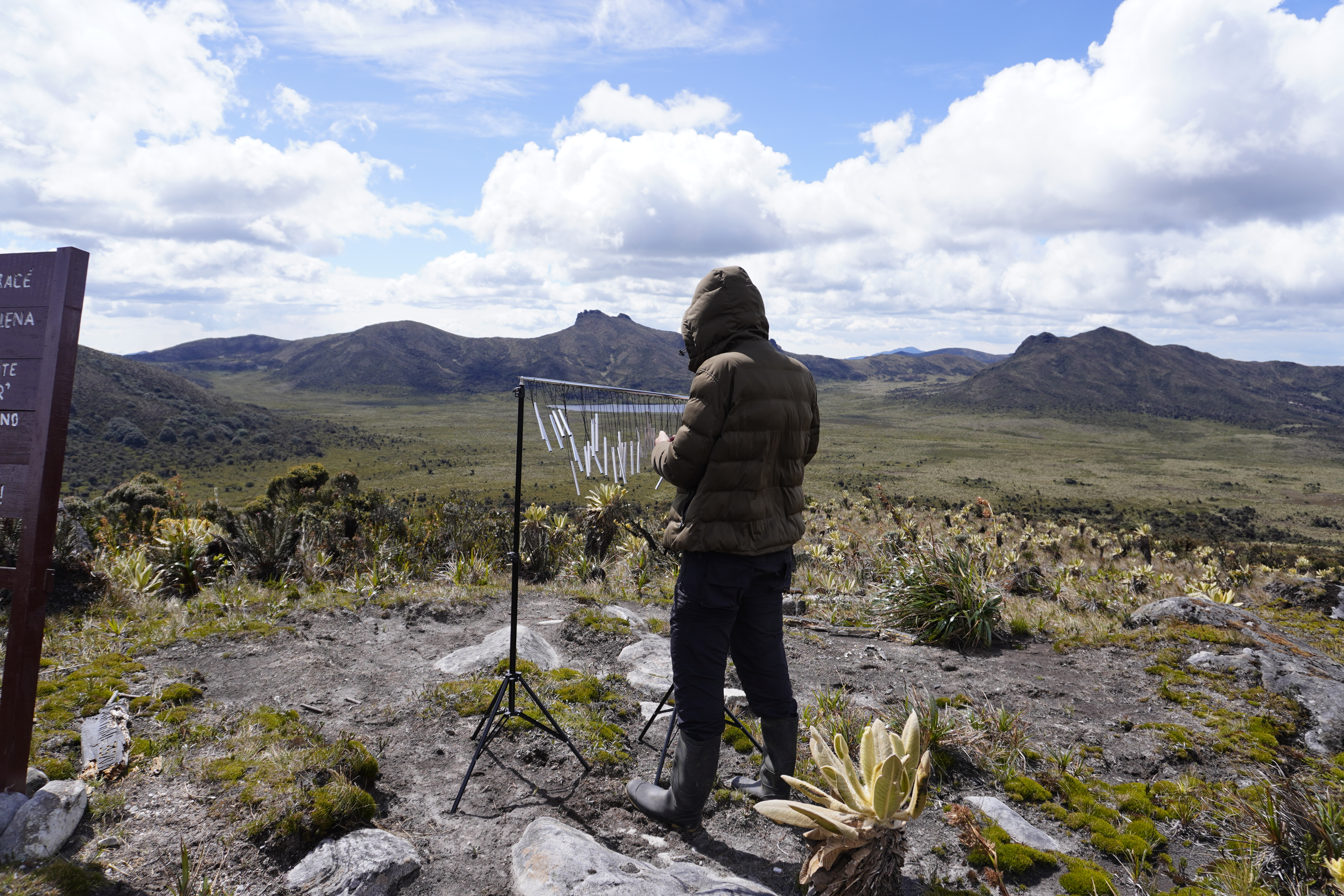 Other Listenings Landscape